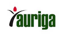 Auriga